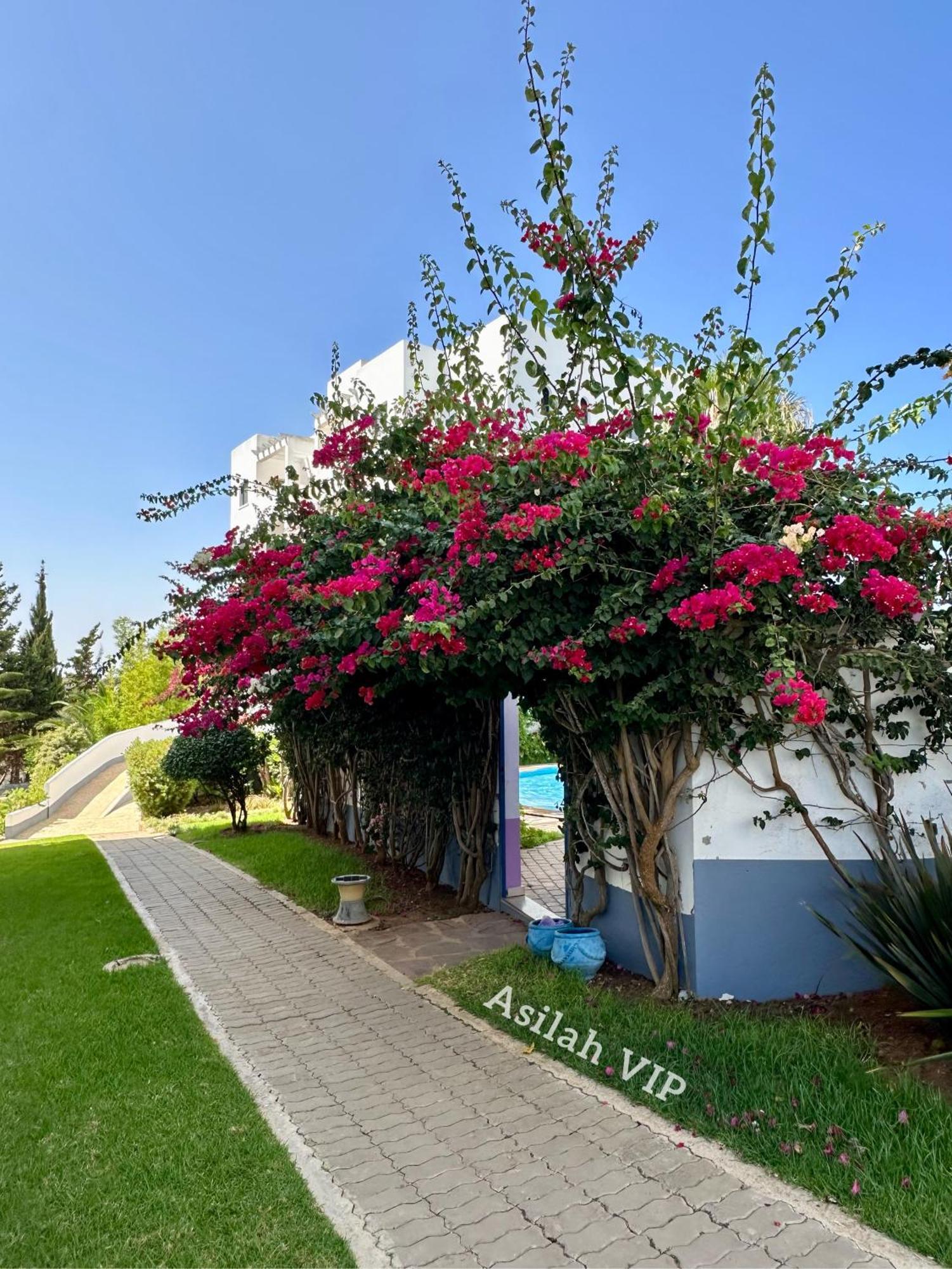 Asilah Vip - Haut Standing - Vue Mer - Piscines - Plage A 5 Minute - Garage Privee - Acces Pmr Eksteriør billede