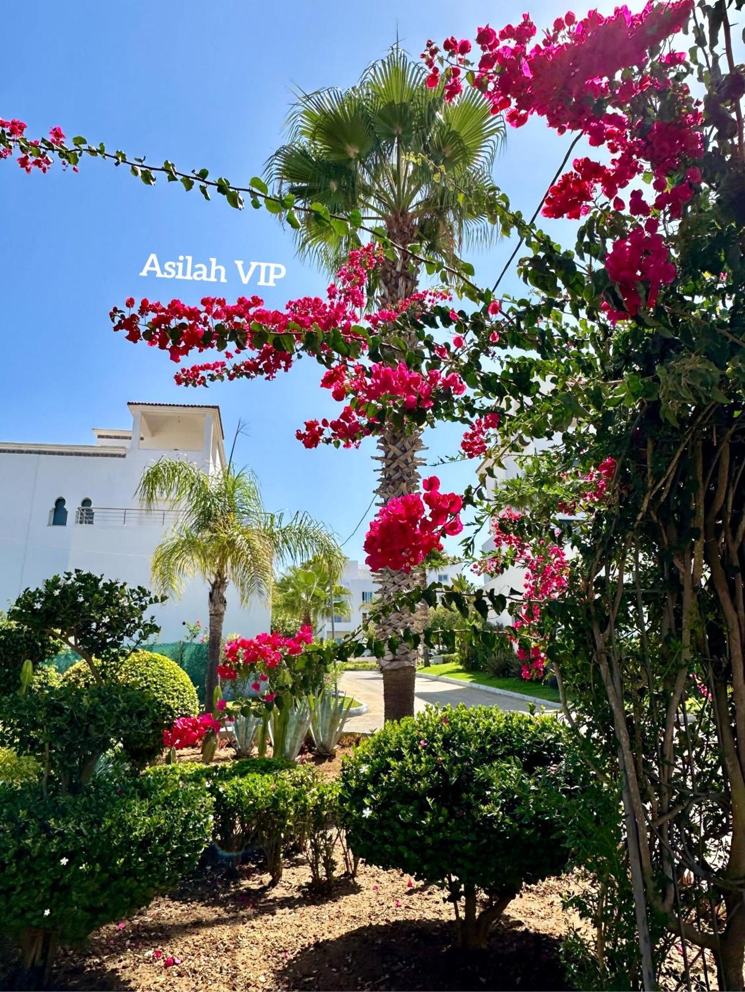 Asilah Vip - Haut Standing - Vue Mer - Piscines - Plage A 5 Minute - Garage Privee - Acces Pmr Eksteriør billede