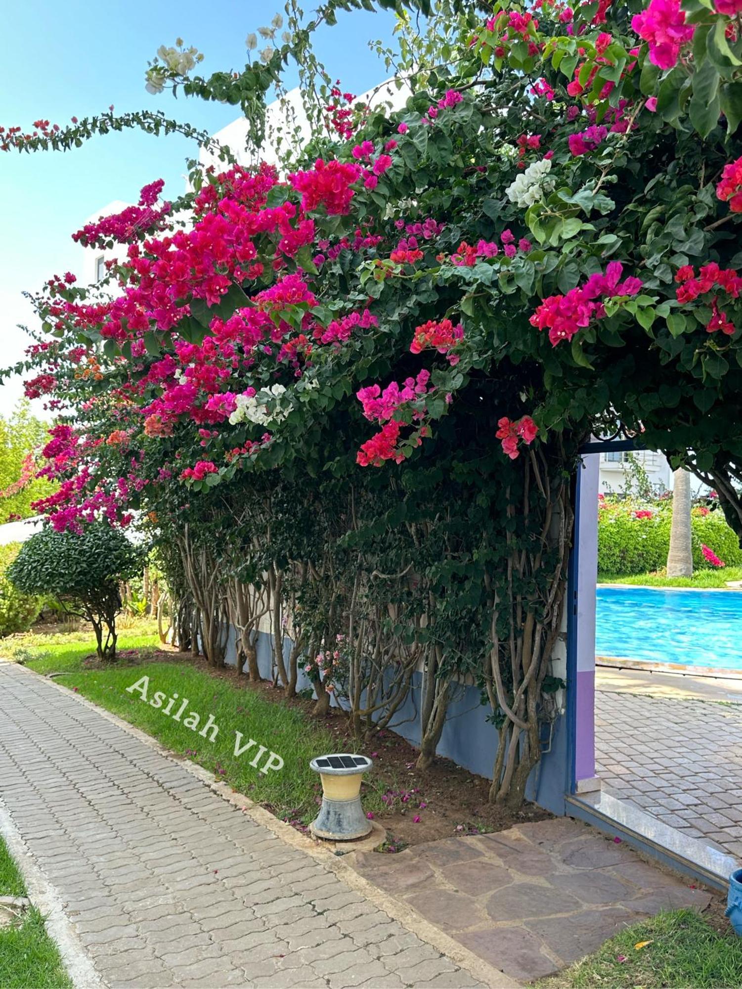 Asilah Vip - Haut Standing - Vue Mer - Piscines - Plage A 5 Minute - Garage Privee - Acces Pmr Eksteriør billede