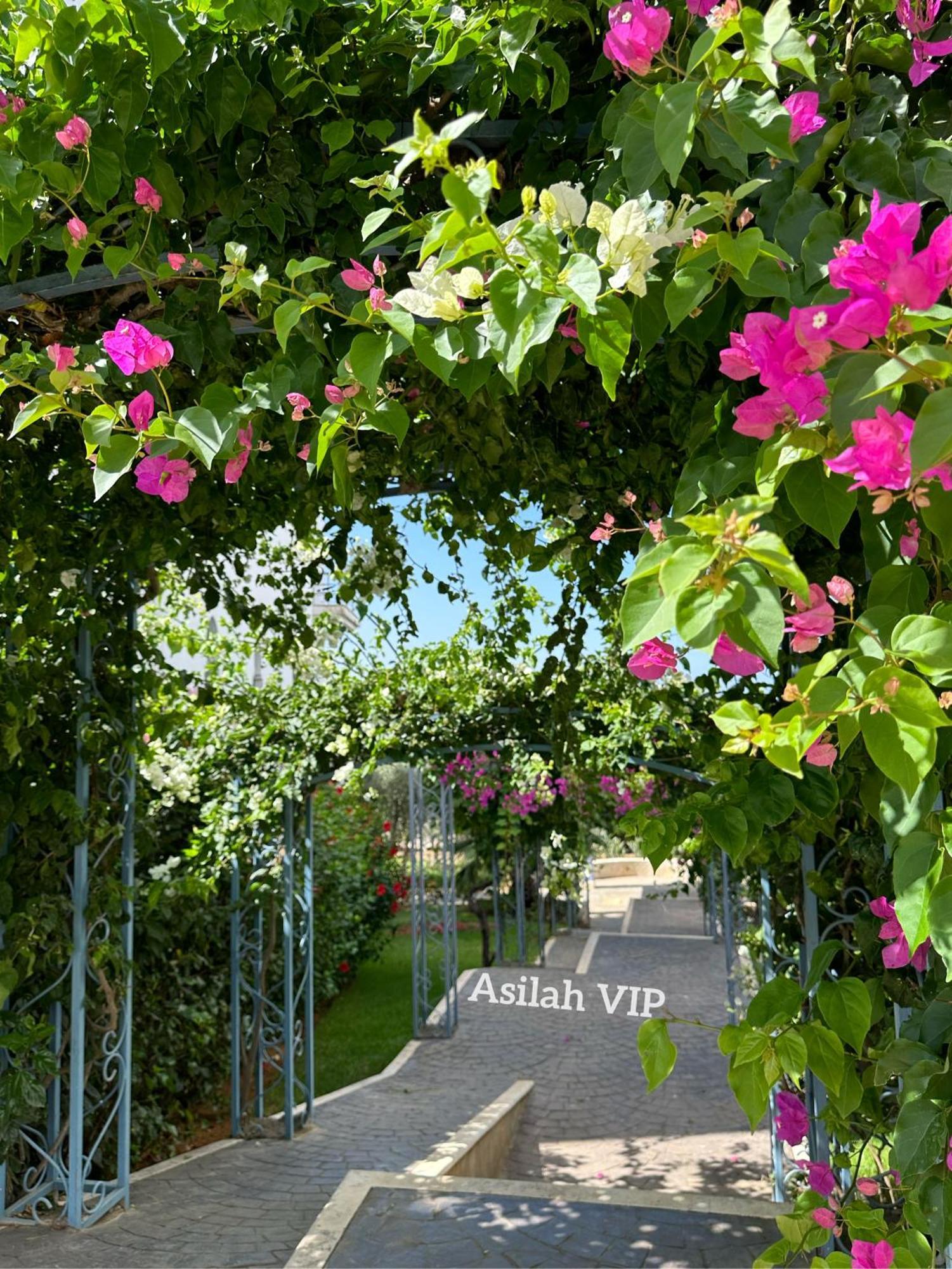 Asilah Vip - Haut Standing - Vue Mer - Piscines - Plage A 5 Minute - Garage Privee - Acces Pmr Eksteriør billede